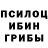 Галлюциногенные грибы Psilocybe Richard Kane