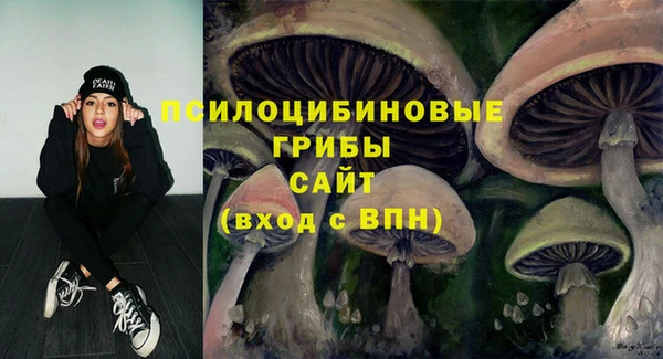 прущие крисы Козельск