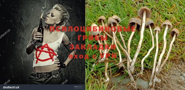 марихуана Козловка